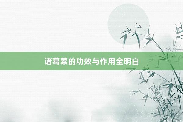 诸葛菜的功效与作用全明白